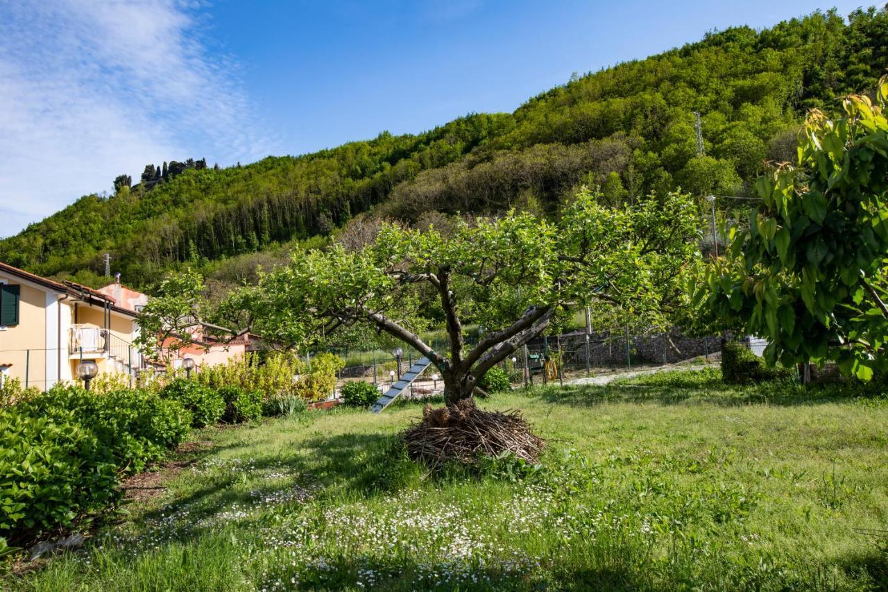 Apicella Casa Vacanze Villa Tramonti Luaran gambar